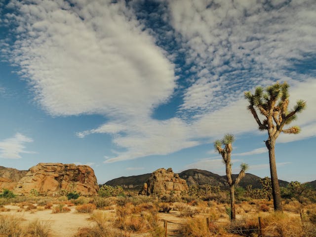 phoenix mountains preserve