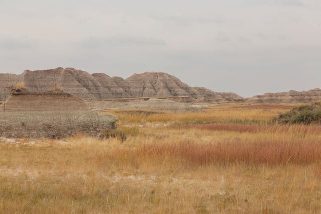 south mountain park and reserve