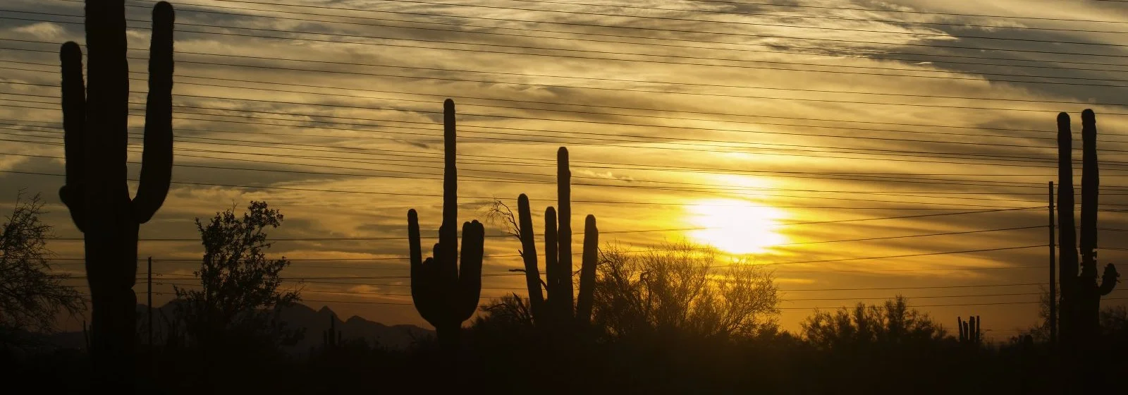 Casa Grande Property Management