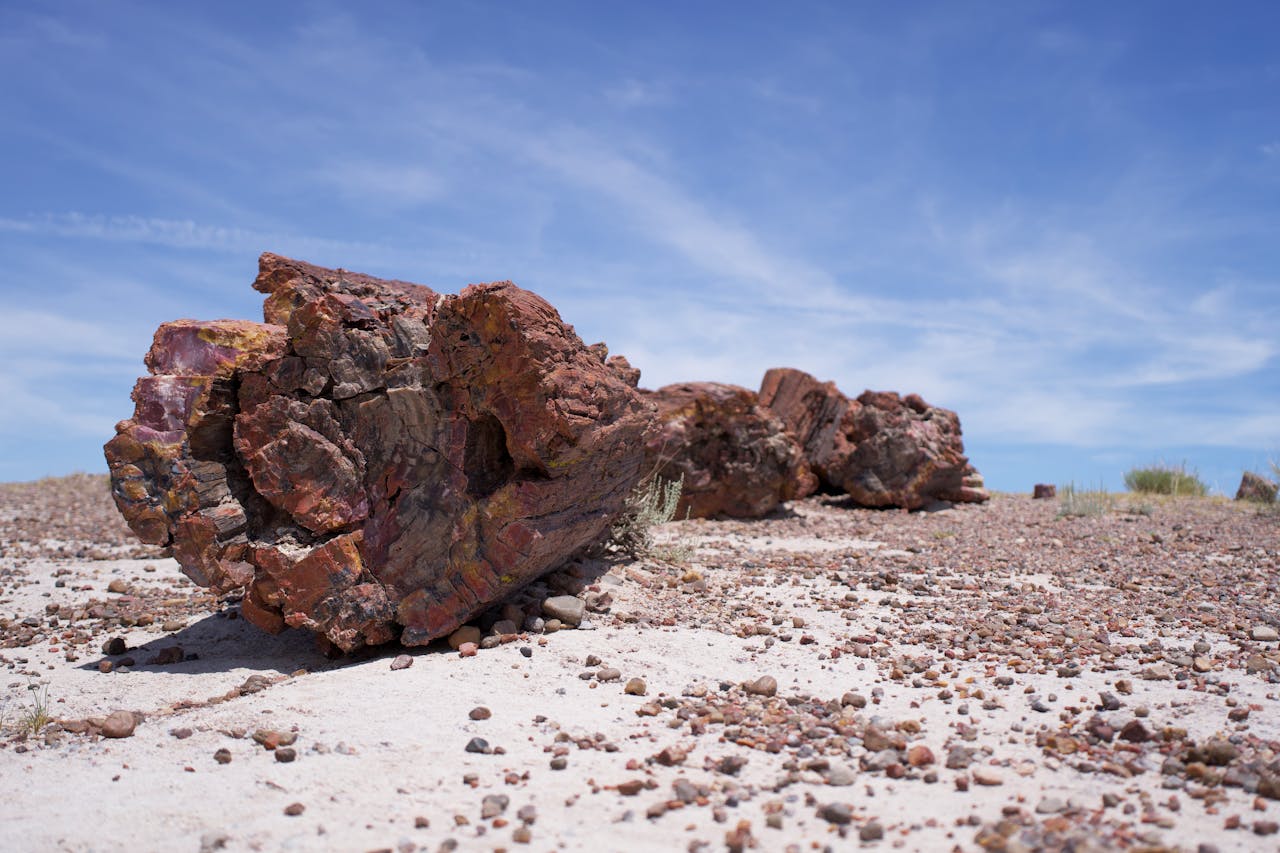 Service Star Realty petrified forest national park